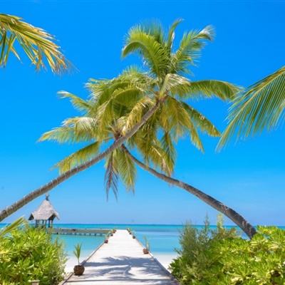 威斯尼斯wns888入口官方版下载