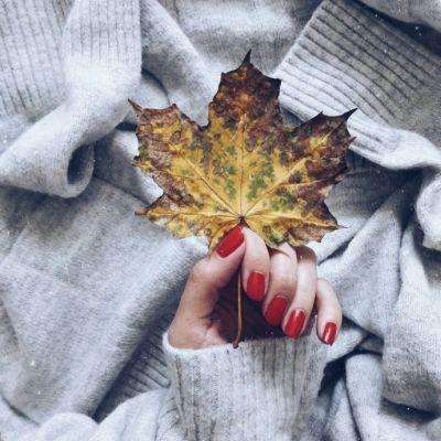 金年会最新官网下载截图