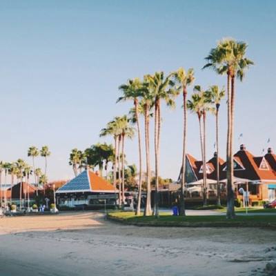 万博体育官方版下载